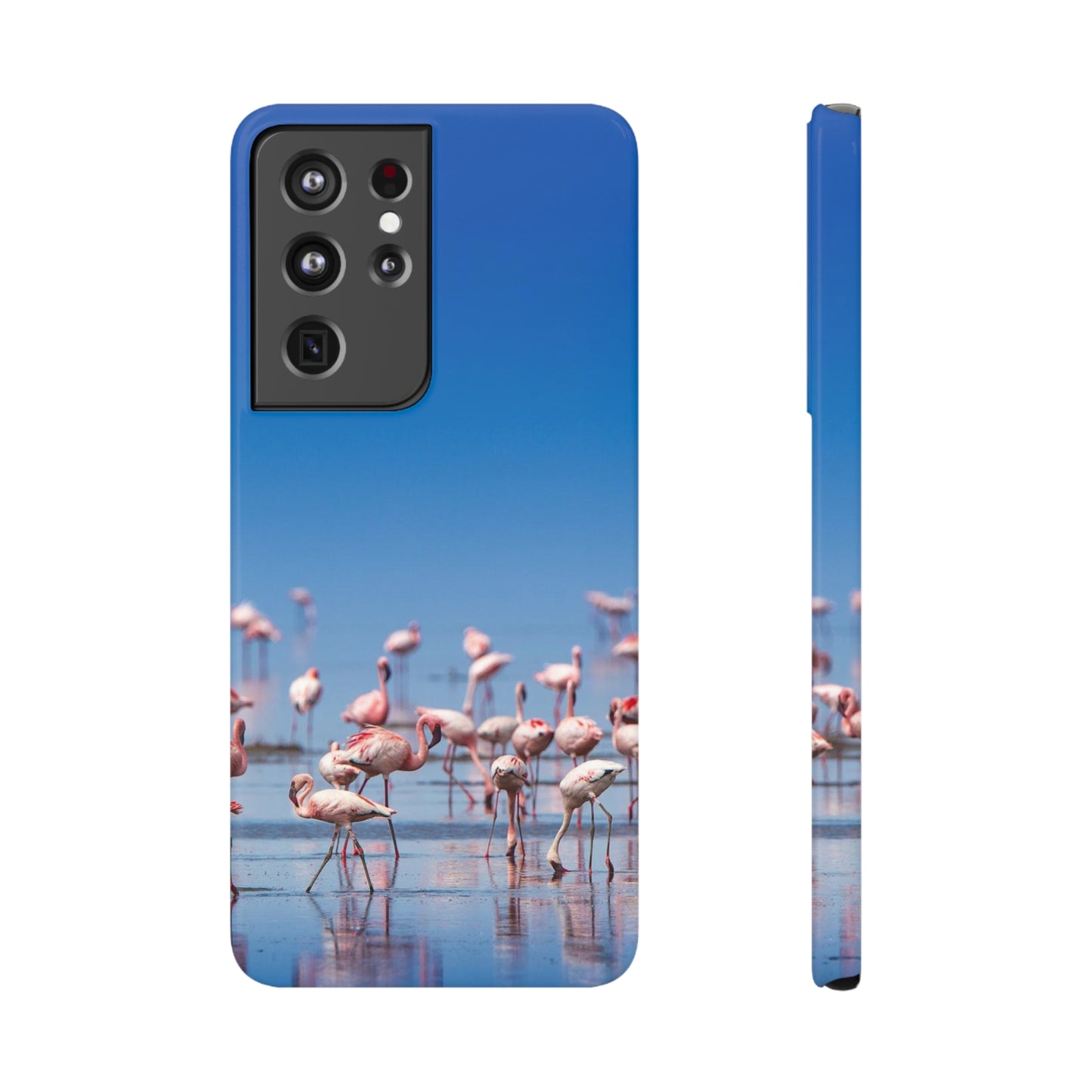 Flamingos on the Beach Samsung Slim Cases