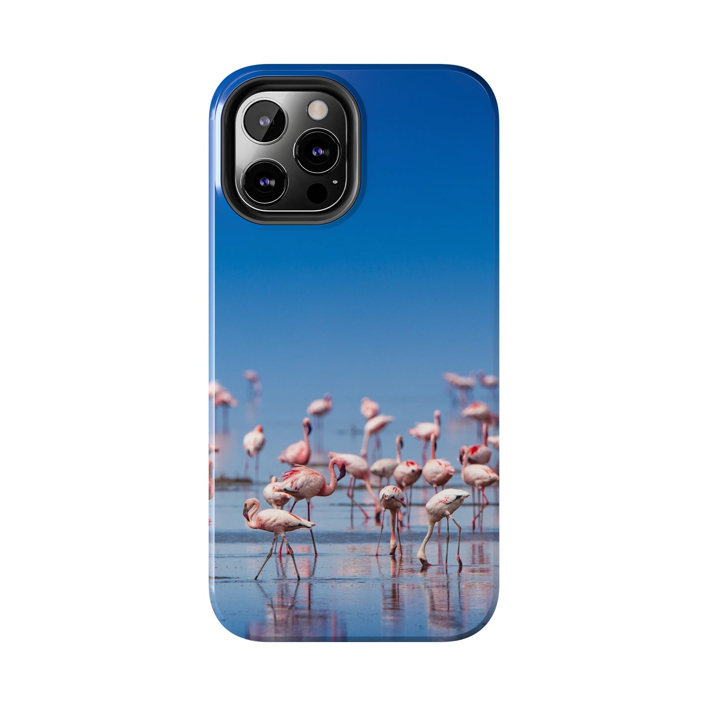 Flamingos on the Beach Iphone Tough Phone Case