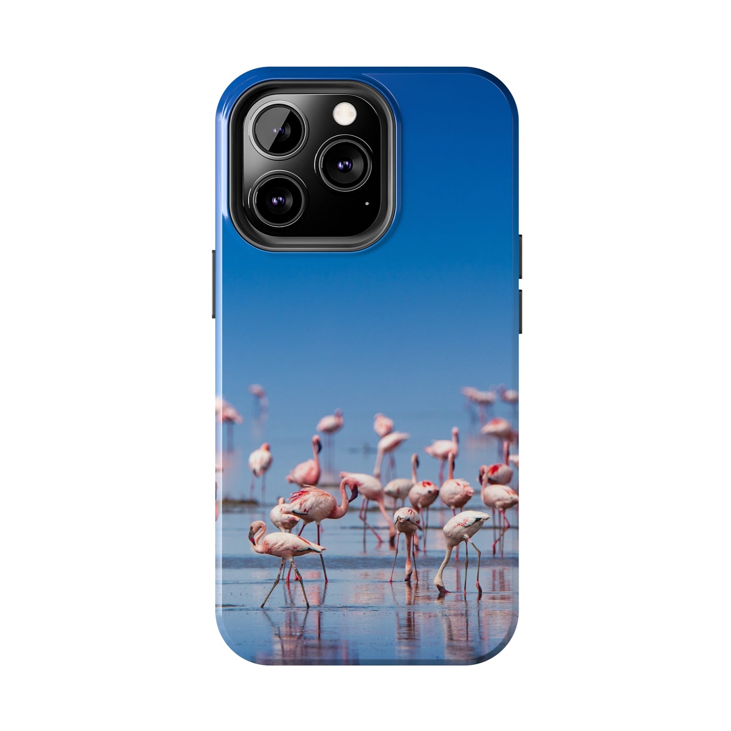 Flamingos on the Beach Iphone Tough Phone Case