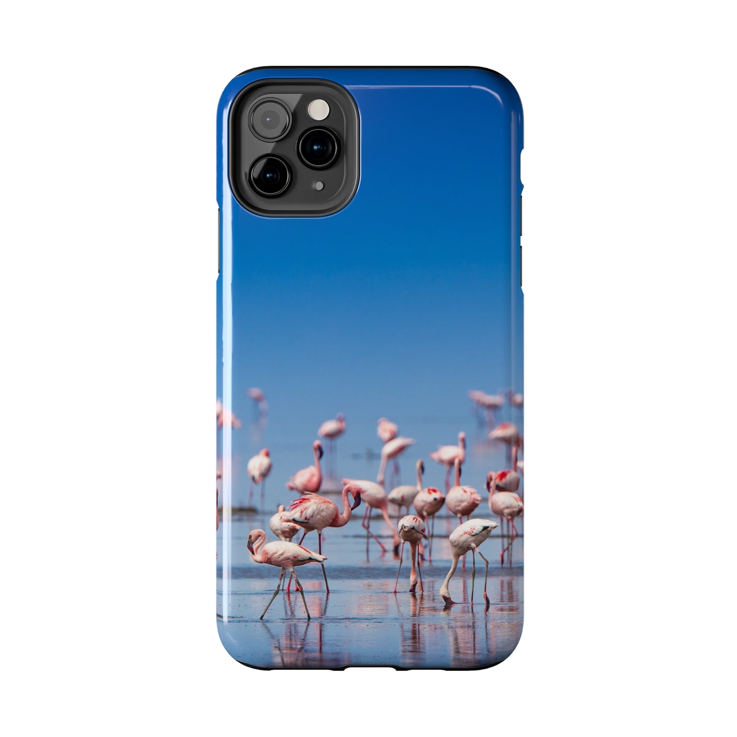 Flamingos on the Beach Iphone Tough Phone Case