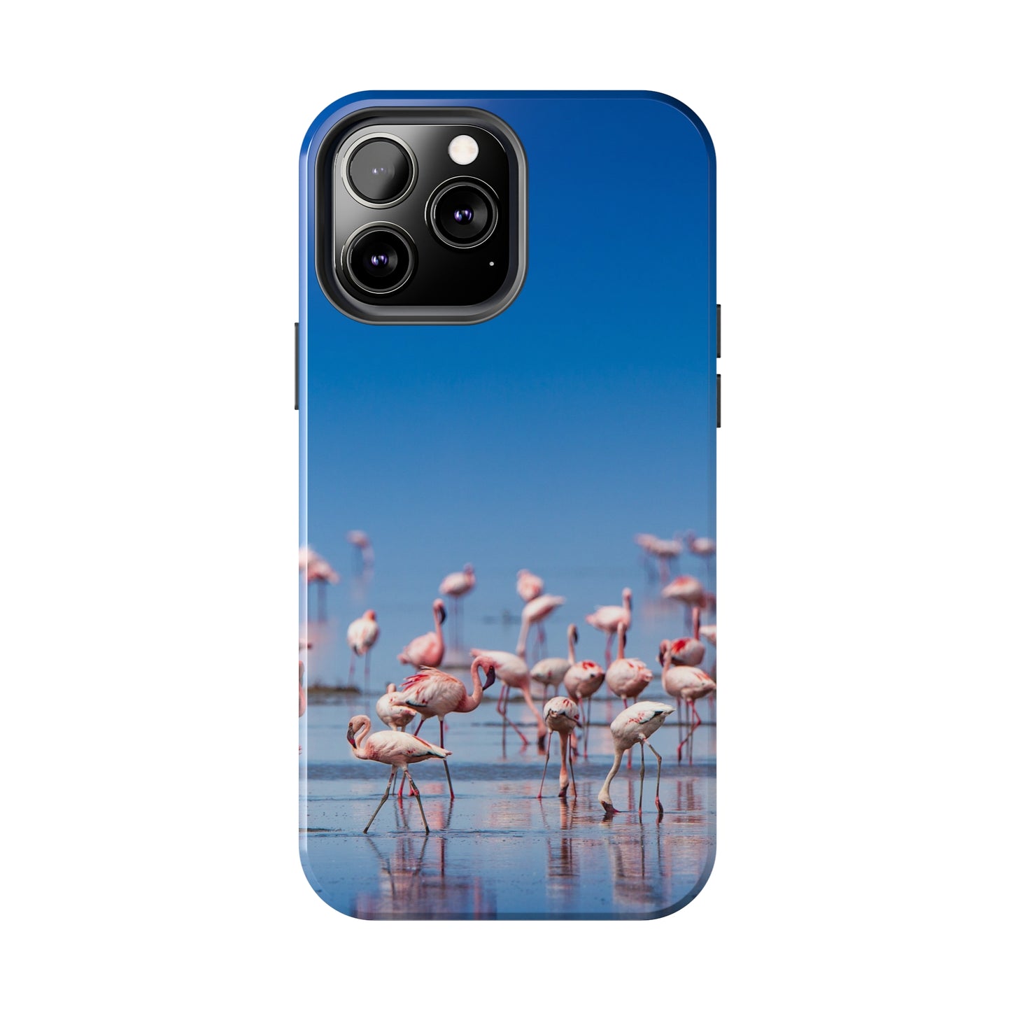 Flamingos on the Beach Iphone Tough Phone Case