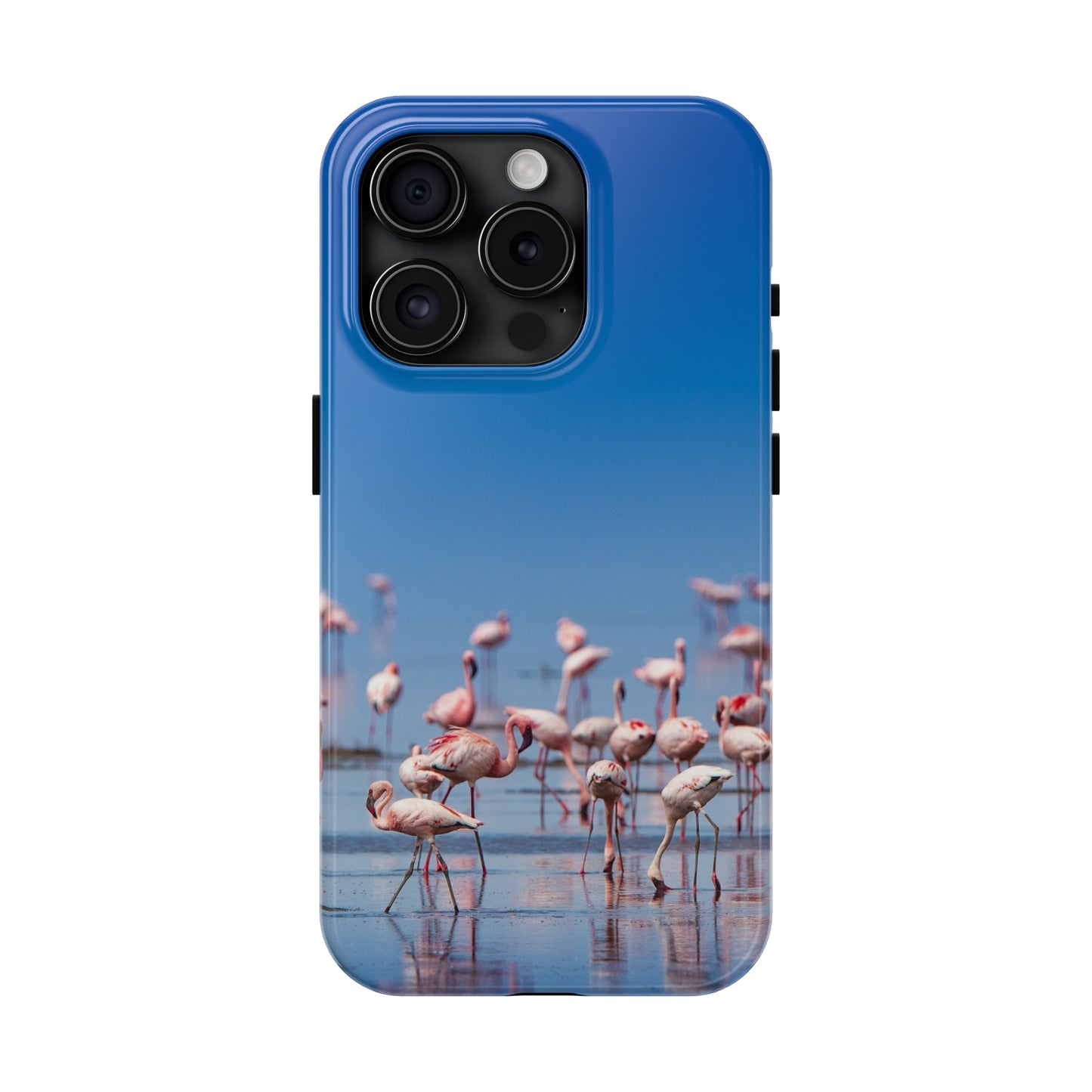 Flamingos on the Beach Iphone Tough Phone Case