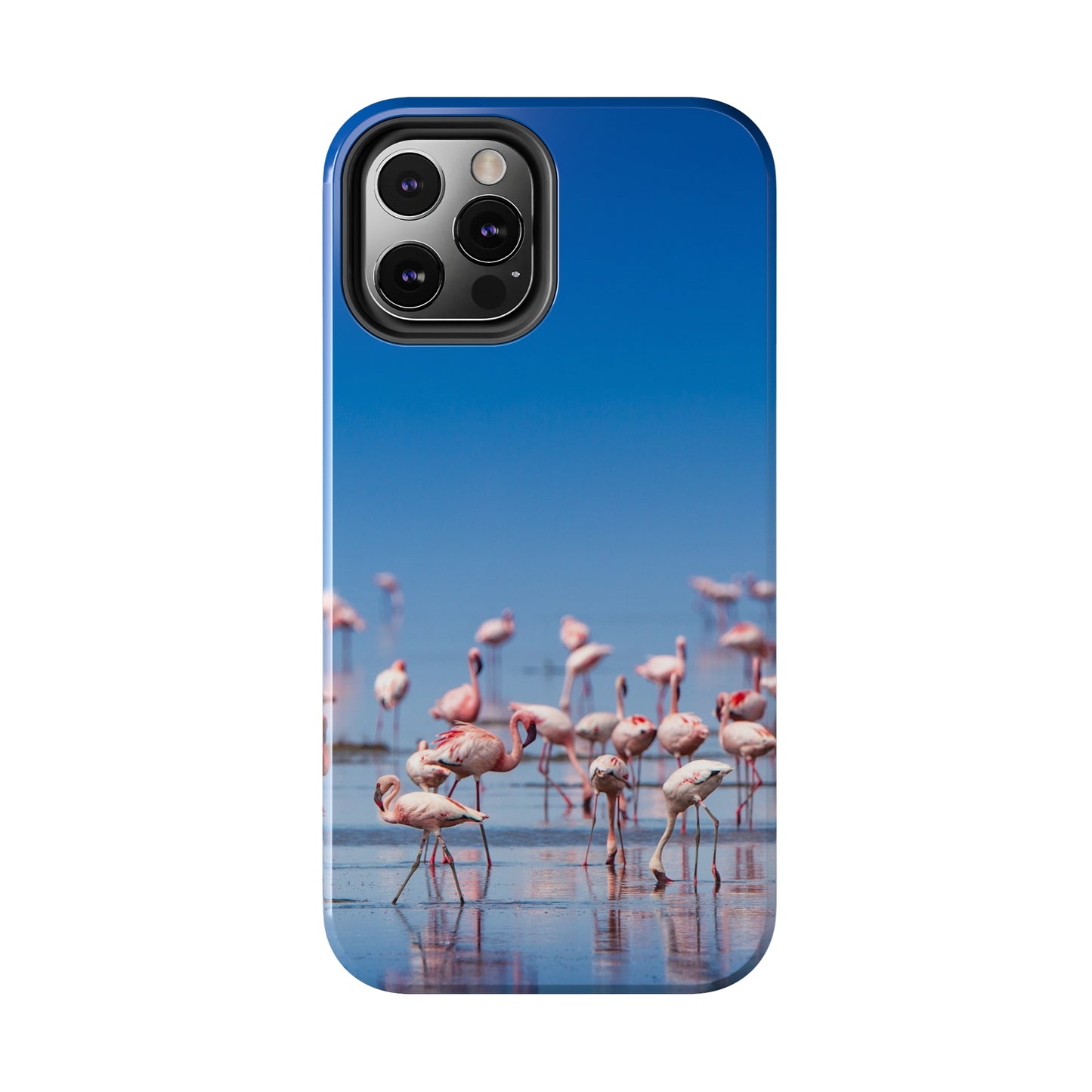 Flamingos on the Beach Iphone Tough Phone Case