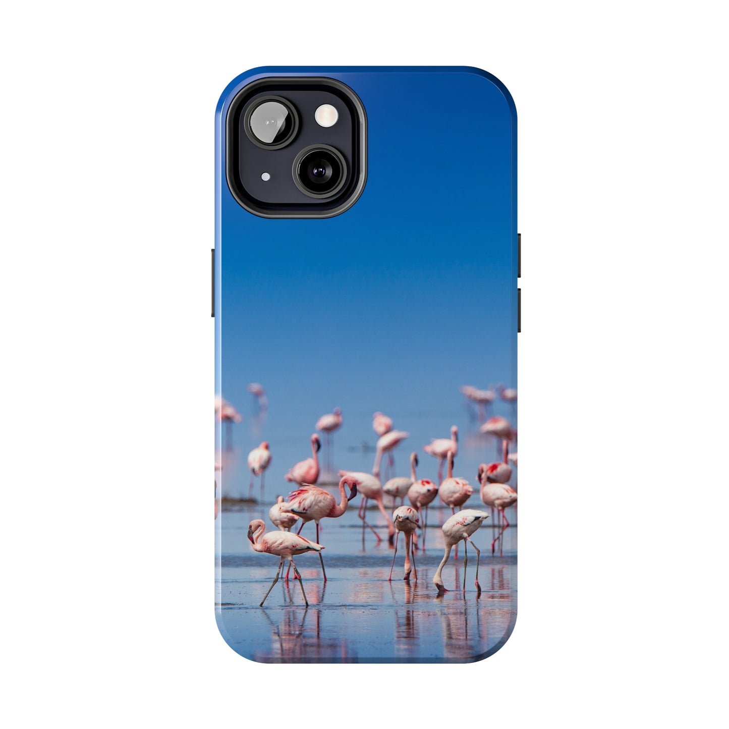 Flamingos on the Beach Iphone Tough Phone Case